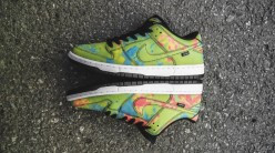 Nike SB Dunk Low x The Civilist
