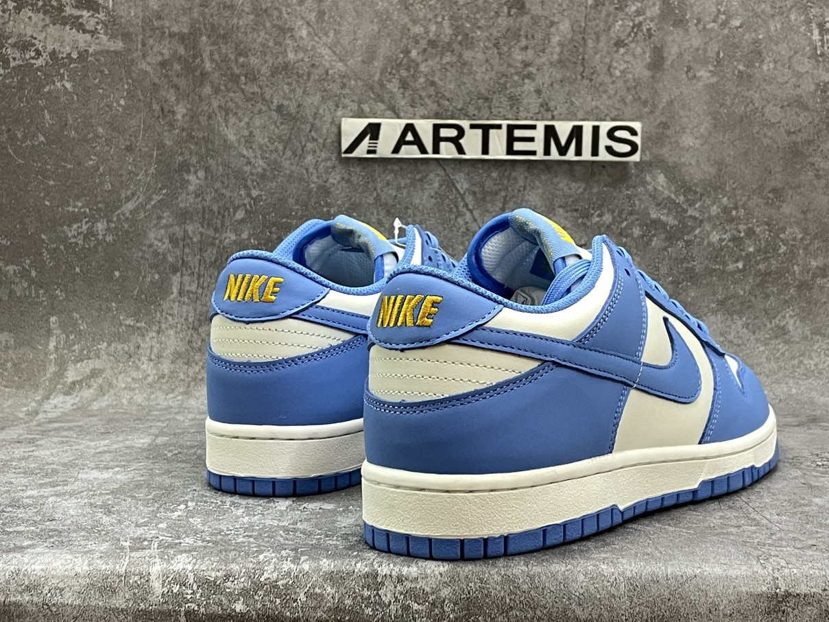 Nike Dunk Low Coast