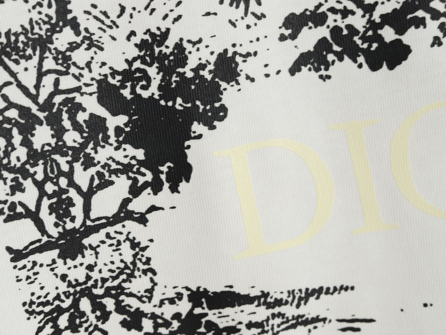 D*or 25ss short-sleeved t-shirt