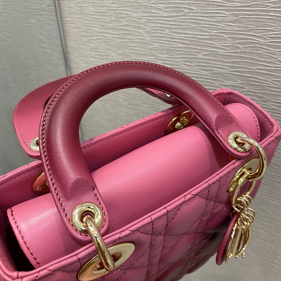 small lady D*or bag 8 x 6.5 x 3 inches