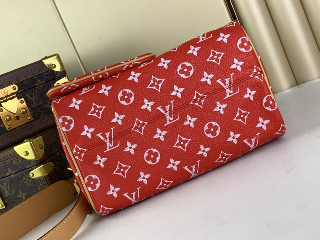 LV SPEEDY BANDOULIÈRE25 M24425