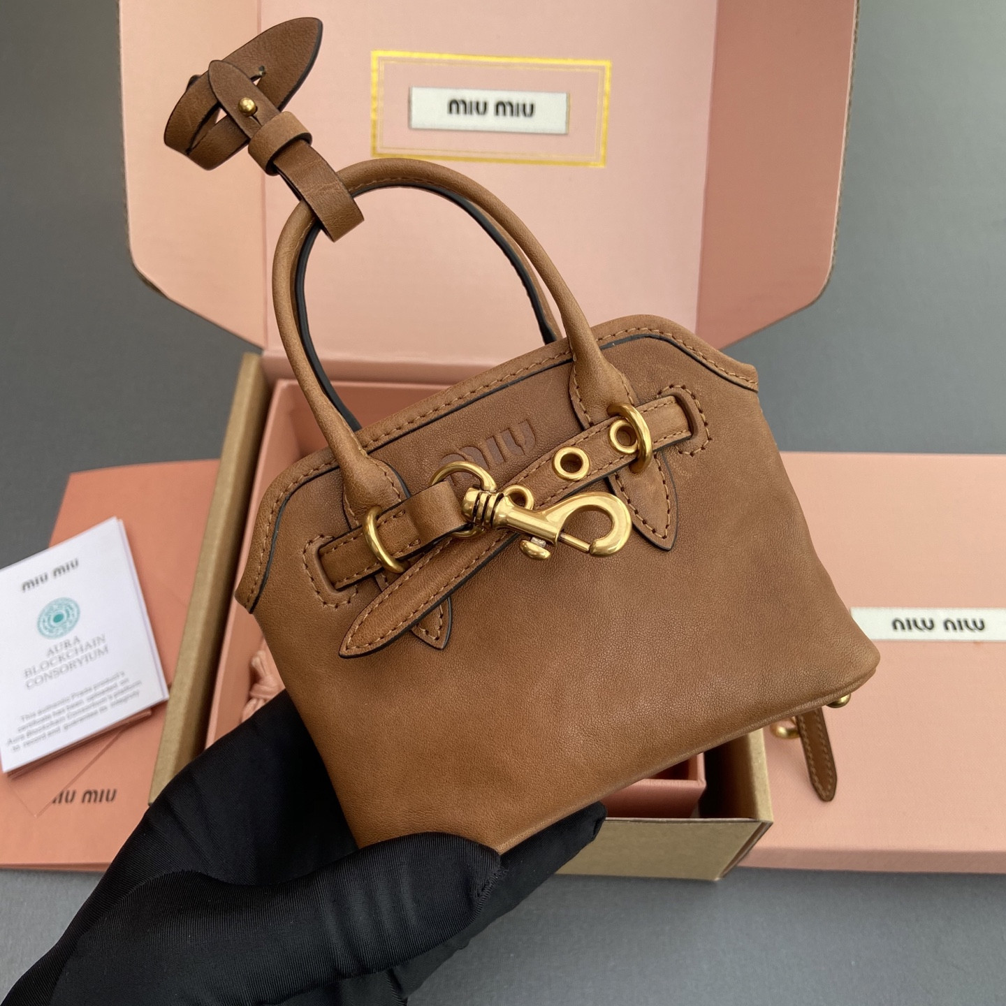 Miu Miu Aventure Nappa Micro Leather trick 9.5x12x2.5cm