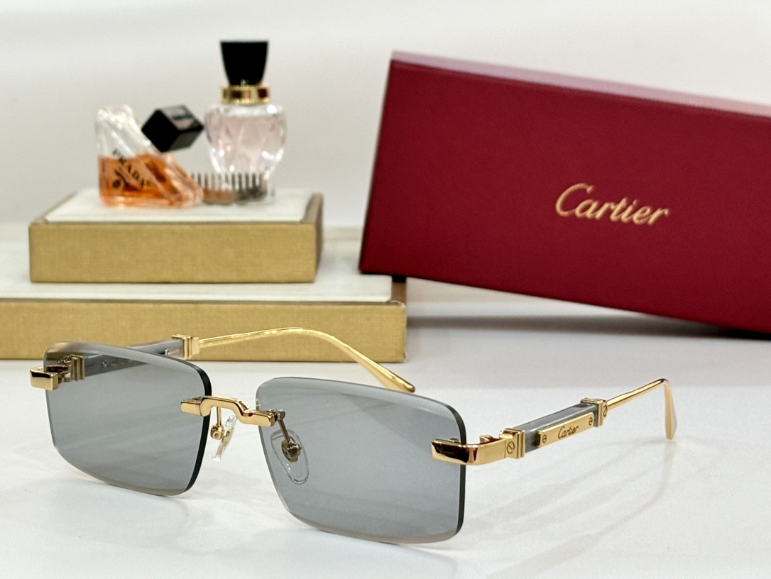 Ca*t*er glasses ct0630